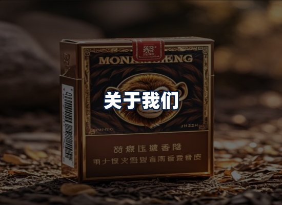 关于我们
